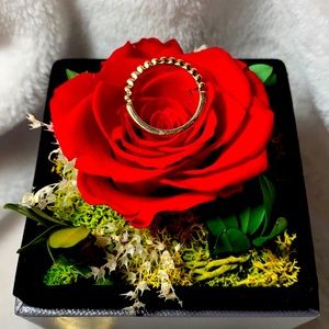 Knuckle Ring for Women